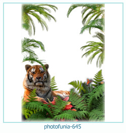 photofunia Photo frame 645